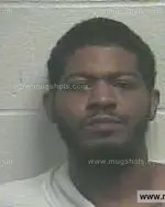 Booking photo of XAVIER ZURIEL YOUNG Jr., Giles County, Feb 2, 2014