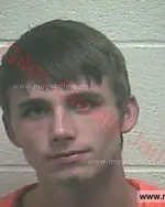 Booking photo of Dakota Madison Crabtree, Giles County, Sep 8, 2017