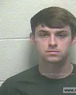 Booking photo of Timothy Hayden Harris, Giles County, Apr 12, 2015