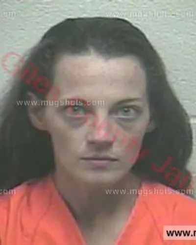 Booking photo of Felicia Dawn Fourakre, Giles County, Mar 28, 2017