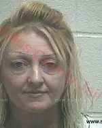 Booking photo of Rebecca Faye Stewart, Giles County, Nov 13, 2016