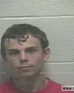 Booking photo of Dylan Austin Legon, Giles County, Jun 19, 2015