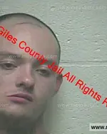 Booking photo of Michael Wayne Alexander Polly, Giles County, May 3, 2019