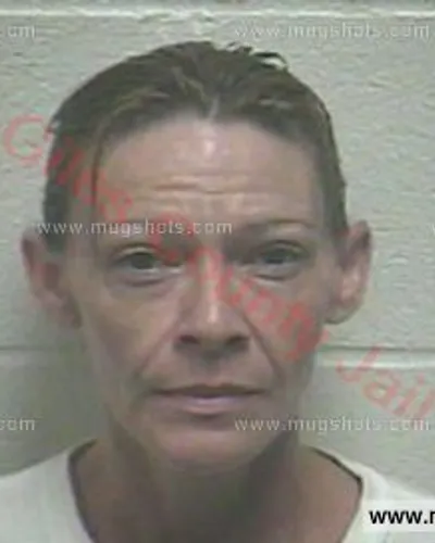 Booking photo of Jenny Rebecca West, Giles County, Jul 20, 2017