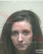 Booking photo of Julie Ann Smith, Giles County, Mar 17, 2018