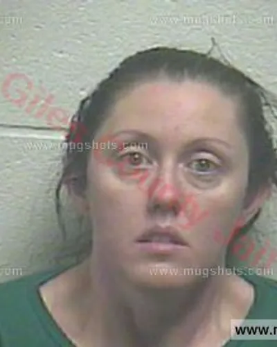 Booking photo of Ashley Raines, Giles County, Feb 26, 2016