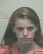 Booking photo of SHELBY N CHAPMAN, Giles County, Jan 22, 2016