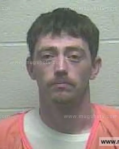 Booking photo of ALVIN W JR. SWANNER Jr., Giles County, May 10, 2015