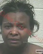 Booking photo of Bonnie Kaye Massey, Giles County, Feb 17, 2016