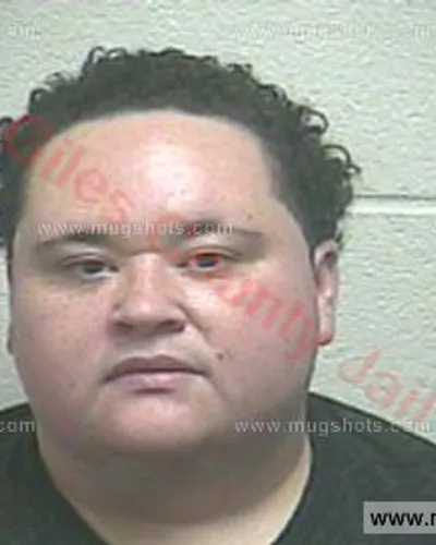 Booking photo of Tracey Lee Britton, Giles County, May 1, 2017