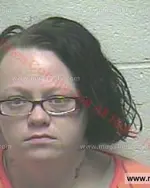Booking photo of Susan Renee Cruz, Giles County, Aug 25, 2015