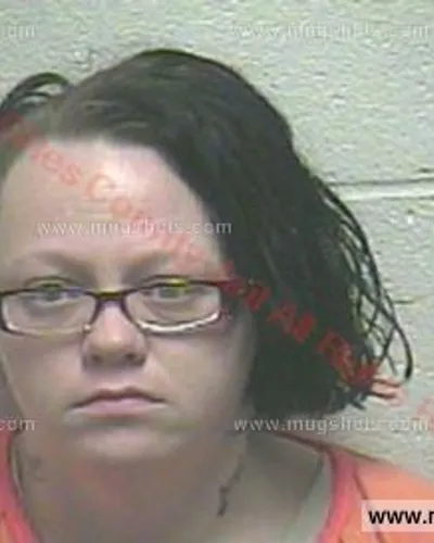 Booking photo of Susan Renee Cruz, Giles County, Aug 25, 2015