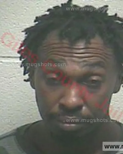 Booking photo of Alfonza Leray Ferguson, Giles County, Oct 8, 2016