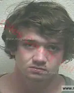 Booking photo of HUNTER W KEEL, Giles County, May 6, 2016