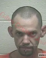 Booking photo of MICHAEL LYNN WALLACE, Giles County, Apr 13, 2017