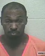 Booking photo of Alfonza Leray Ferguson, Giles County, Apr 2, 2015