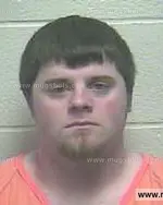 Booking photo of TAYLOR BRYANT WILLIAMS, Giles County, Mar 28, 2015