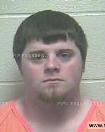 Booking photo of TAYLOR BRYANT WILLIAMS, Giles County, Mar 28, 2015