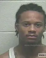 Booking photo of Treadence Lee Howard, Giles County, Jul 26, 2014