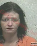 Booking photo of Brianna Lee Dale, Giles County, Nov 12, 2017