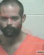 Booking photo of William Andrew Owens, Giles County, May 24, 2017