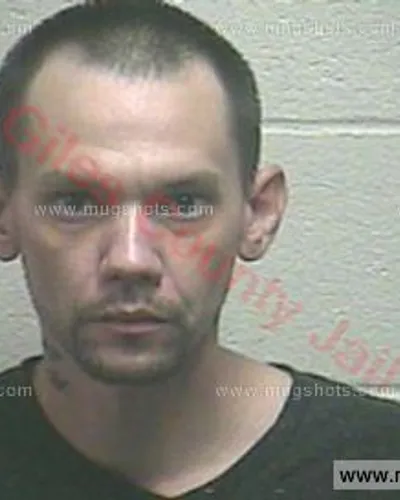 Booking photo of MICHAEL LYNN WALLACE, Giles County, Jun 12, 2017