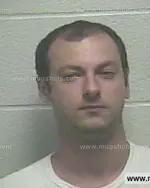 Booking photo of Razvan Alex Sinca, Giles County, Jul 11, 2015