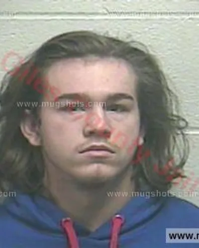 Booking photo of Cleo Nelson Lee Davis, Giles County, Jan 25, 2018