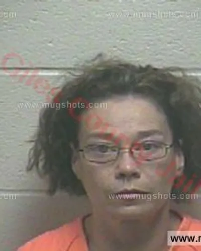 Booking photo of Lisa Ann Going, Giles County, Dec 28, 2017