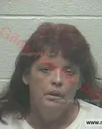 Booking photo of Dena Renay Johns, Giles County, Jul 13, 2017