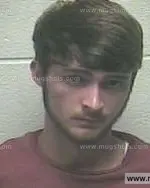 Booking photo of Eric Storm Phelps, Giles County, Jun 26, 2015