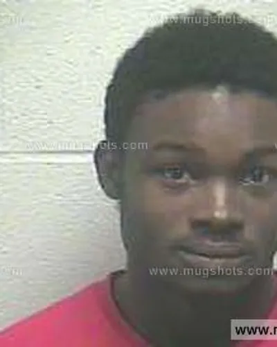 Booking photo of Vincent Hewlette, Giles County, Aug 14, 2013