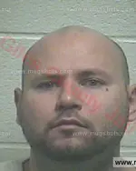 Booking photo of Frederick Hollis Gonzalez III, Giles County, Nov 1, 2015