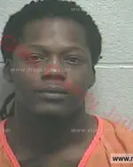 Booking photo of Julius Montel Appleton, Giles County, Feb 5, 2017