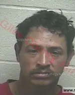 Booking photo of JULIO Ces Rodriguez- HERNANDEZ, Giles County, Apr 3, 2016