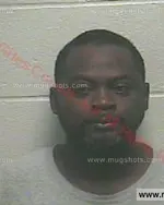 Booking photo of Devin Torrance Myles, Giles County, Aug 25, 2015