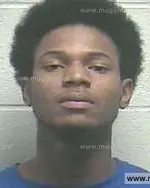 Booking photo of Adrian Coneal Qualls, Giles County, Jan 31, 2014