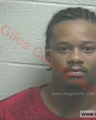 Booking photo of Treadence Lee Howard, Giles County, Jun 6, 2016