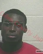 Booking photo of Timothy Dwayne Stevenson, Giles County, Sep 4, 2017