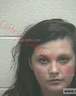 Booking photo of Megan Ashley Leary, Giles County, Oct 25, 2017