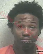 Booking photo of Eddie Darselle Nelson, Giles County, Feb 12, 2016