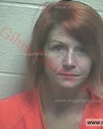 Booking photo of Tamara Ann Brown, Giles County, Aug 15, 2016