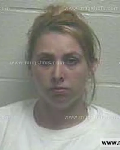 Booking photo of Ashley Lanford, Giles County, May 4, 2013