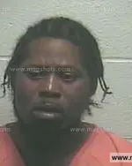 Booking photo of EDWARD D HARNEY, Giles County, Oct 12, 2013