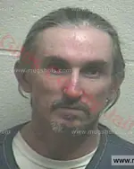 Booking photo of William Dewayne Ledbetter, Giles County, May 20, 2016