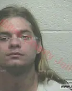 Booking photo of Travis Lee Lowery, Giles County, May 5, 2017