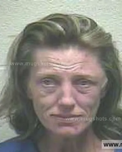 Booking photo of Heather Defoe, Giles County, Oct 8, 2013