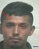 Booking photo of Louis Alberto Flores Garcia, Giles County, Jul 22, 2016