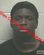 Booking photo of QUAVONTAIS L DAILEY, Giles County, Feb 2, 2019