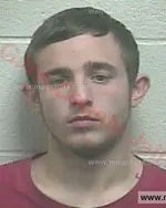 Booking photo of Damian Leon Davis, Giles County, Dec 29, 2016